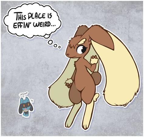 lopunny|More.